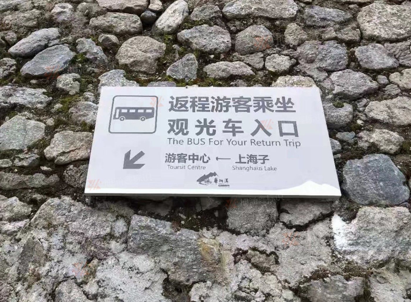 传网_001.JPG