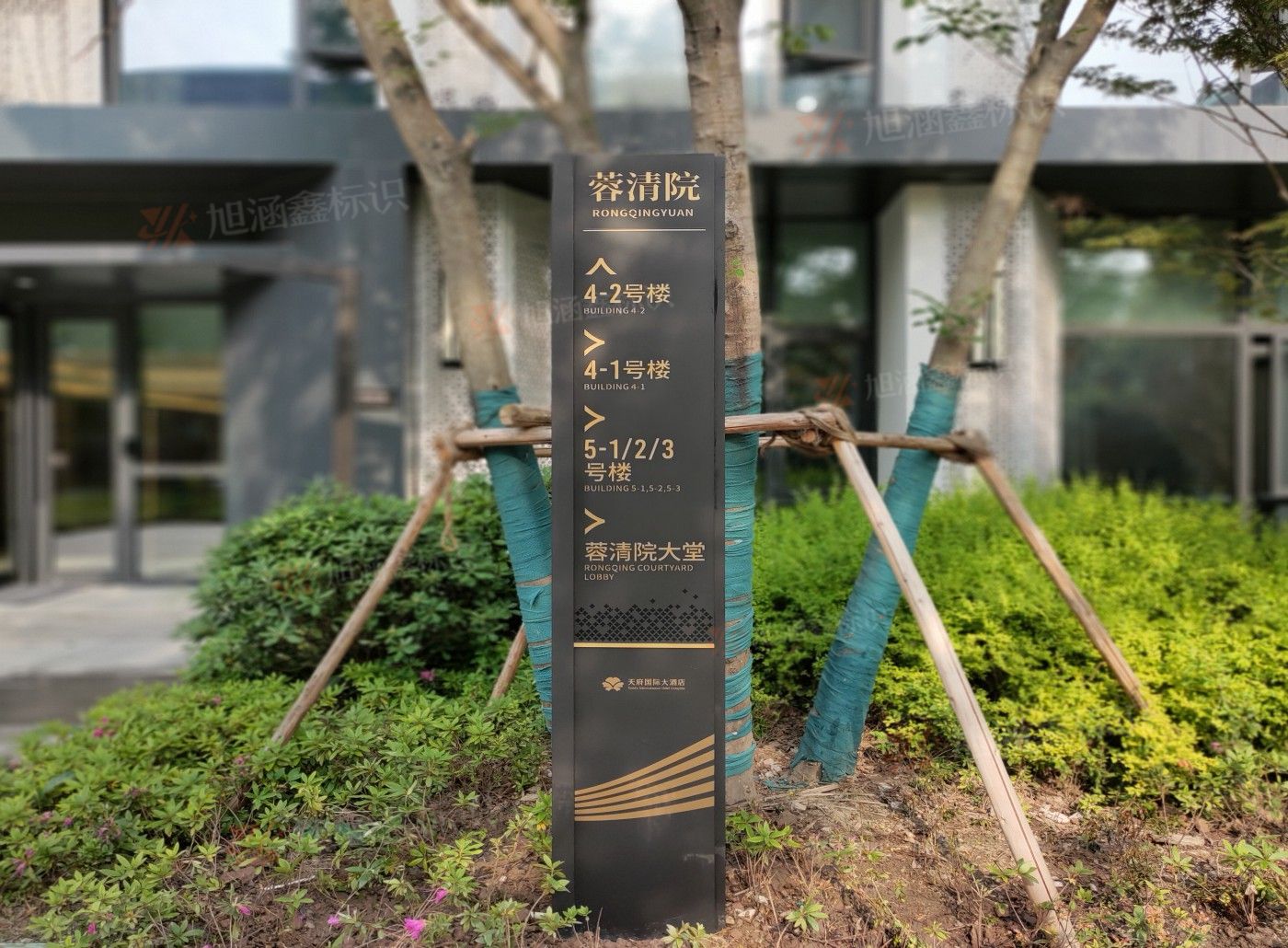 传网_003.JPG