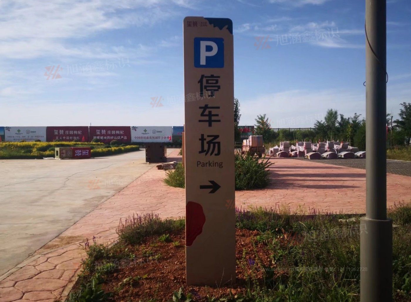 传网_014.JPG
