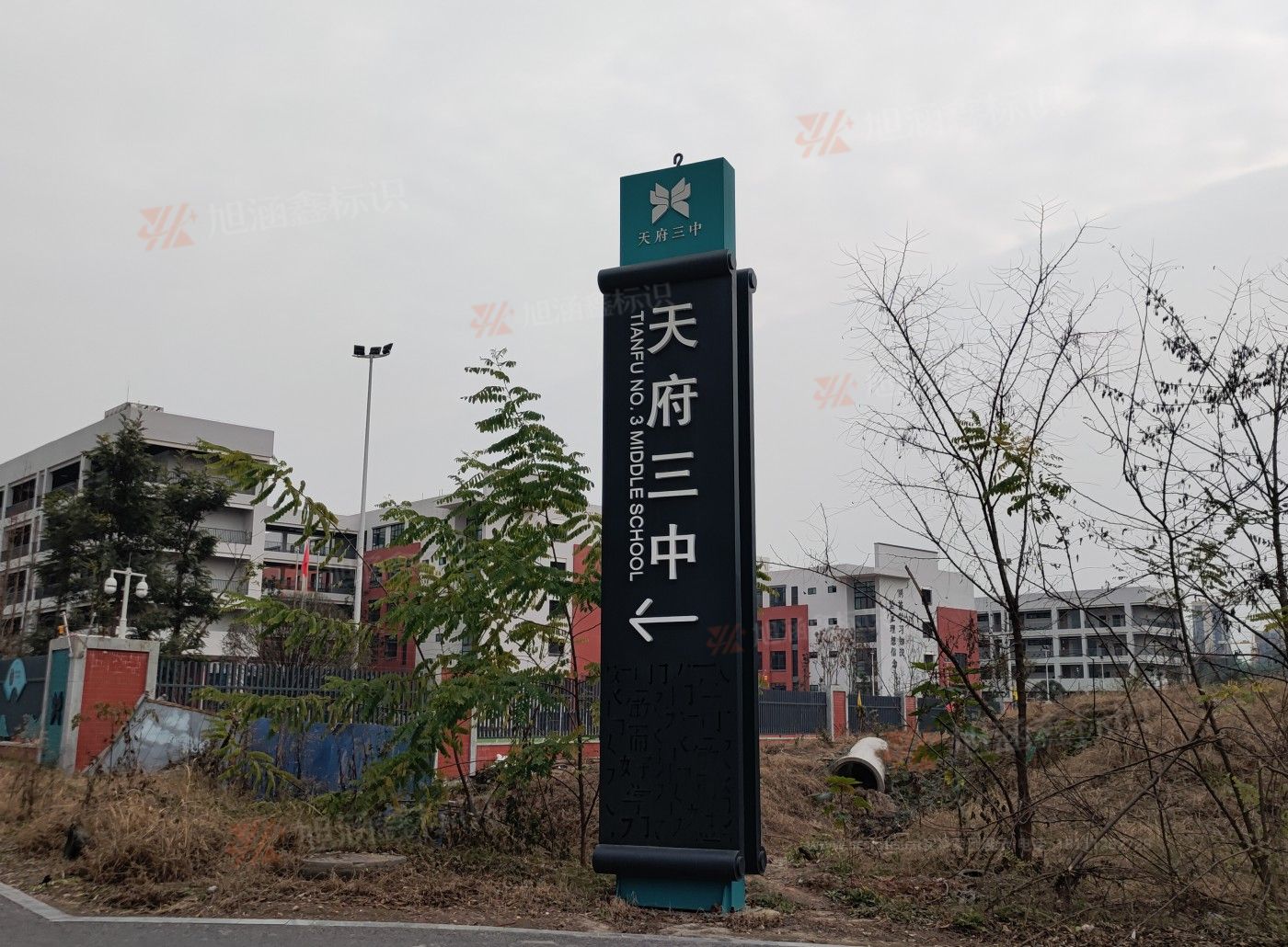 传网_010.JPG