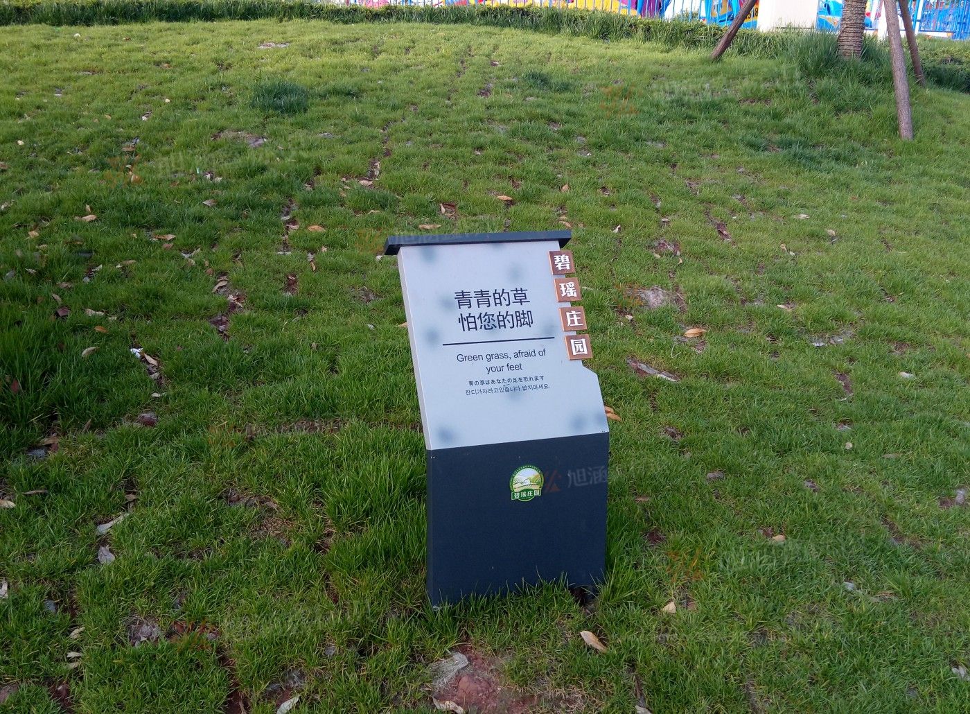 传网_005.JPG