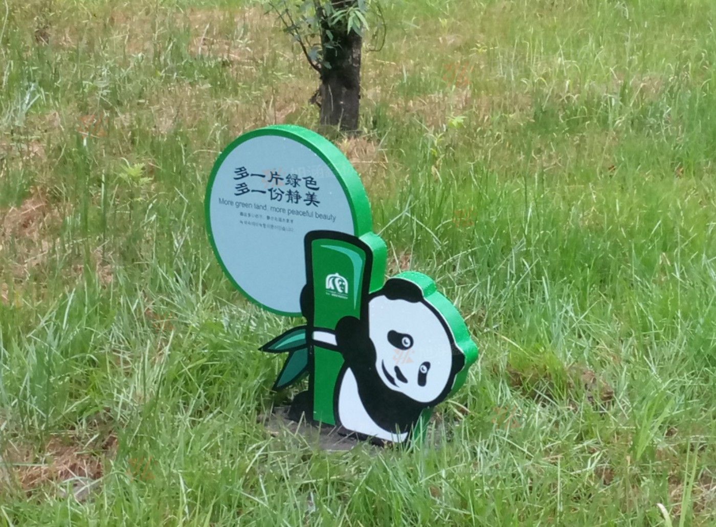 传网_006.JPG
