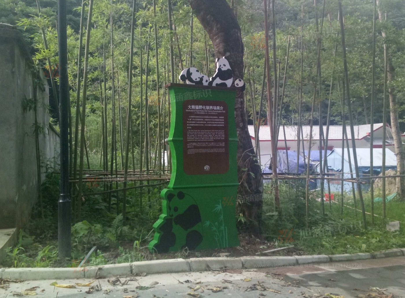 传网_004.JPG
