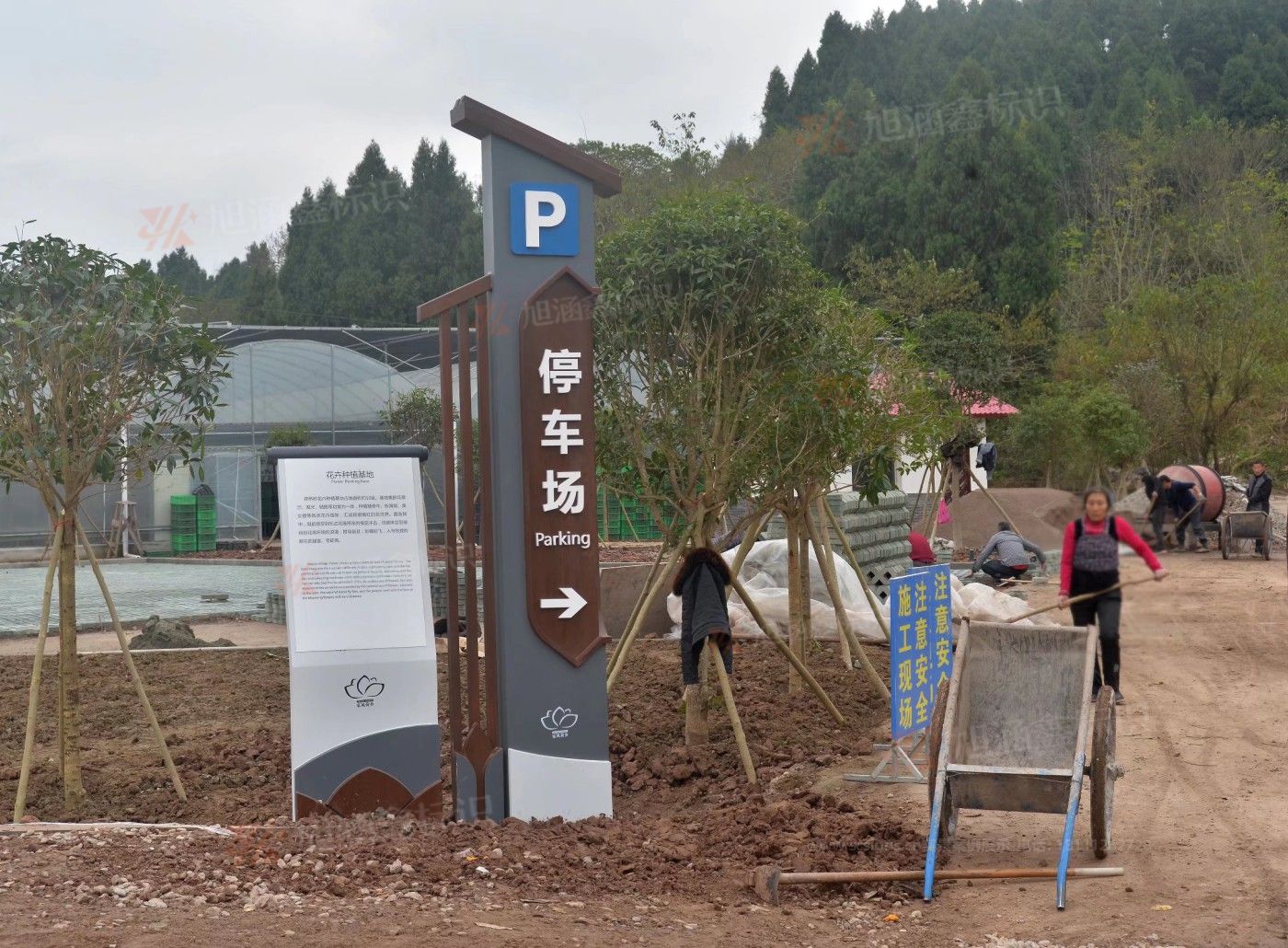 传网_014.JPG