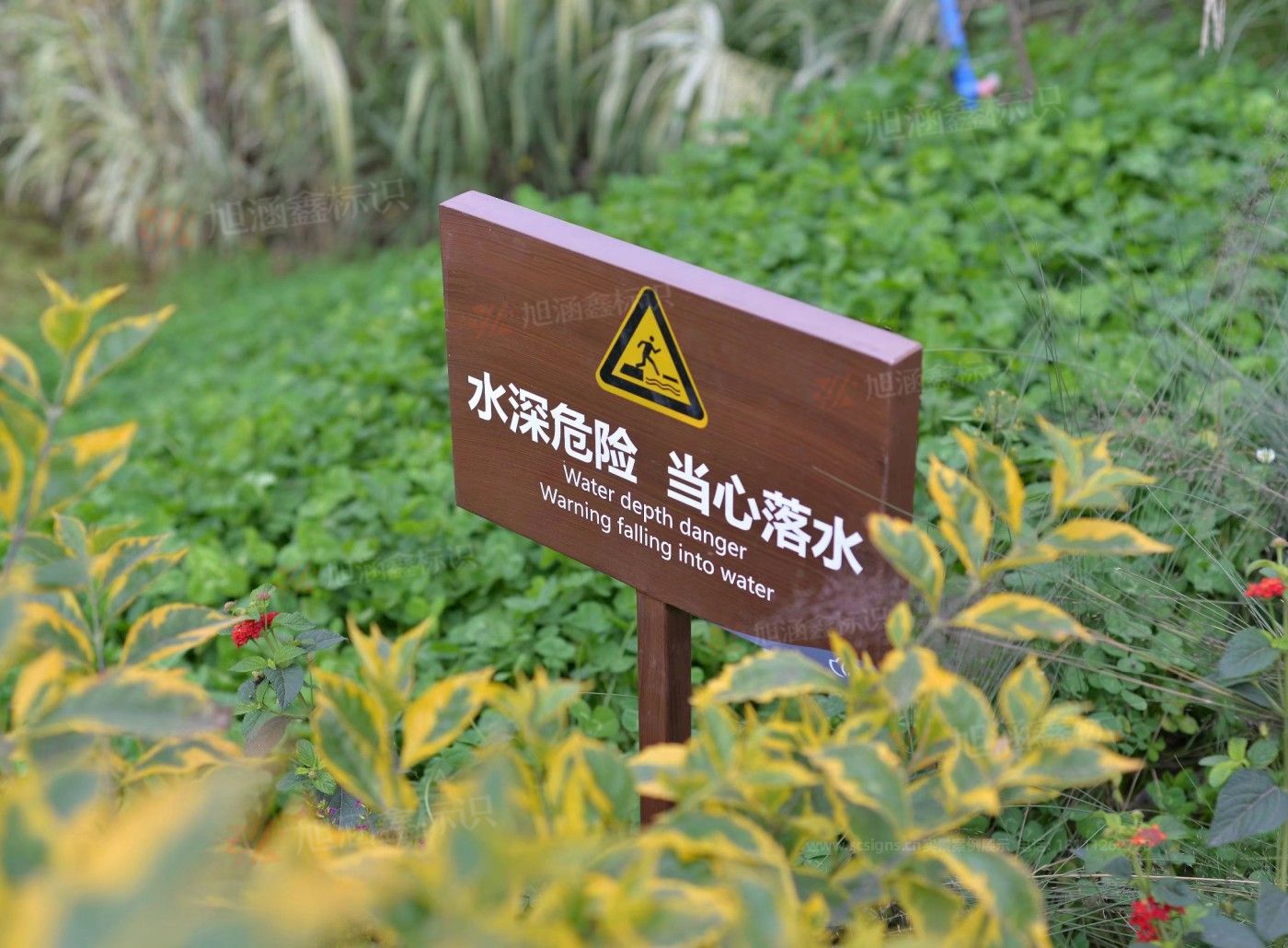 传网_017.JPG