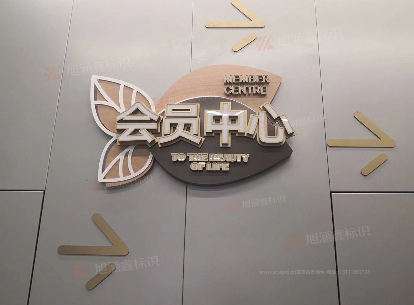 传网_007.JPG