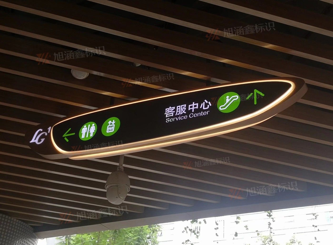 传网_011.JPG