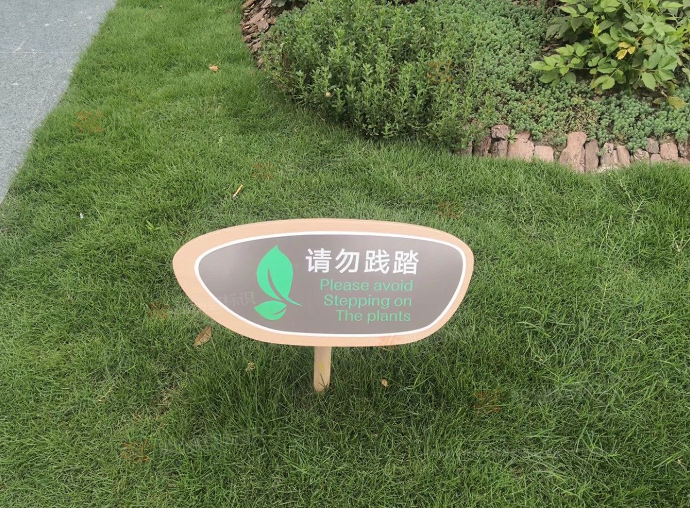 传网_014.JPG