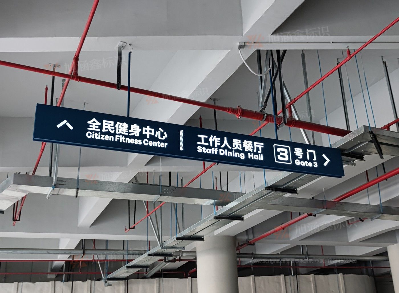 传网_004.JPG
