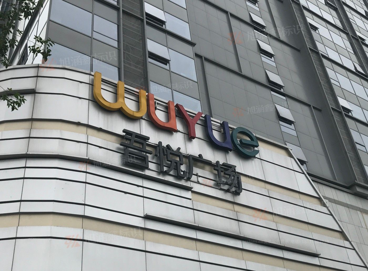 传网_001.JPG