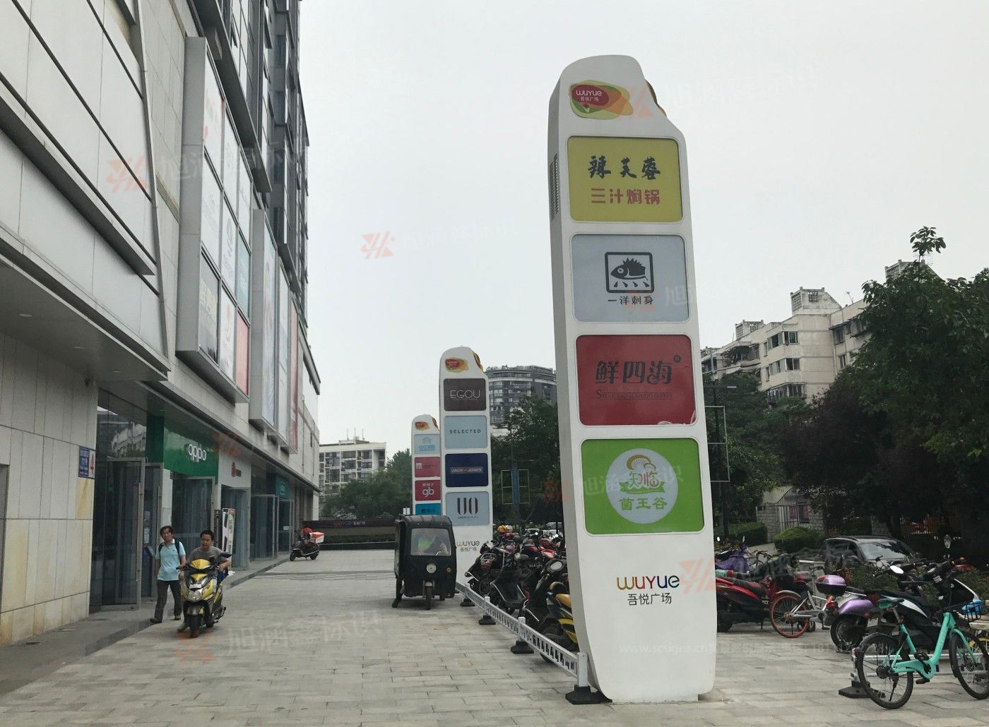 传网_004.JPG