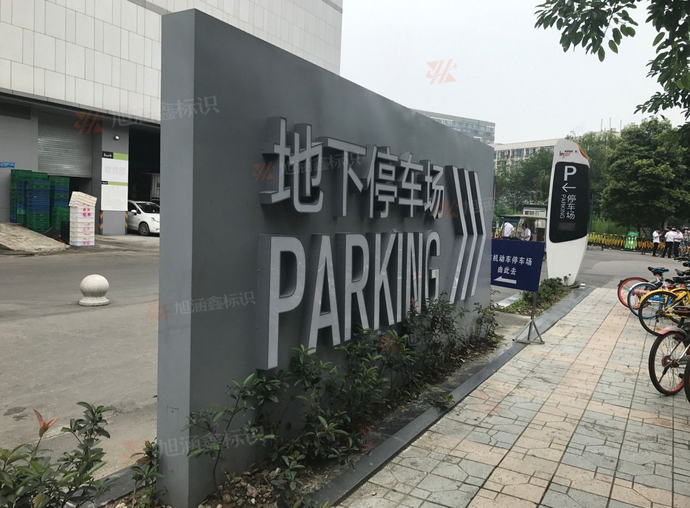 传网_007.JPG