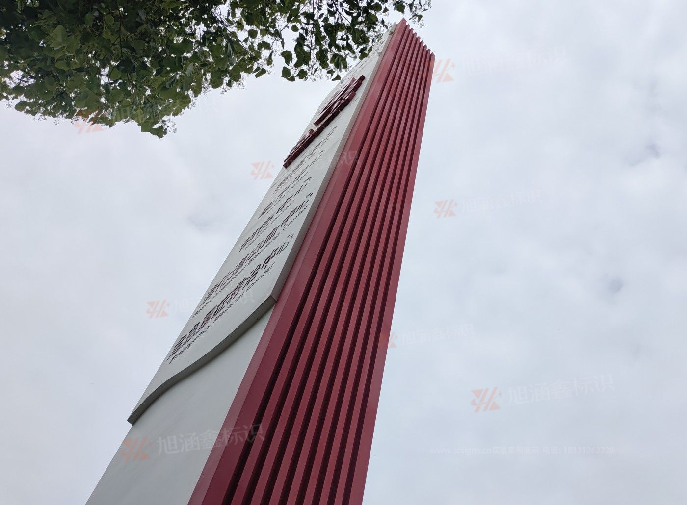 传网_002.JPG